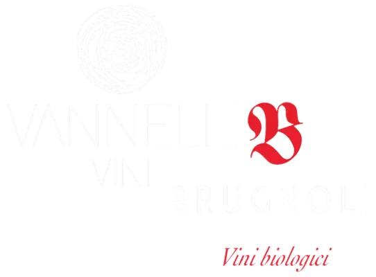 Vini Vannelli